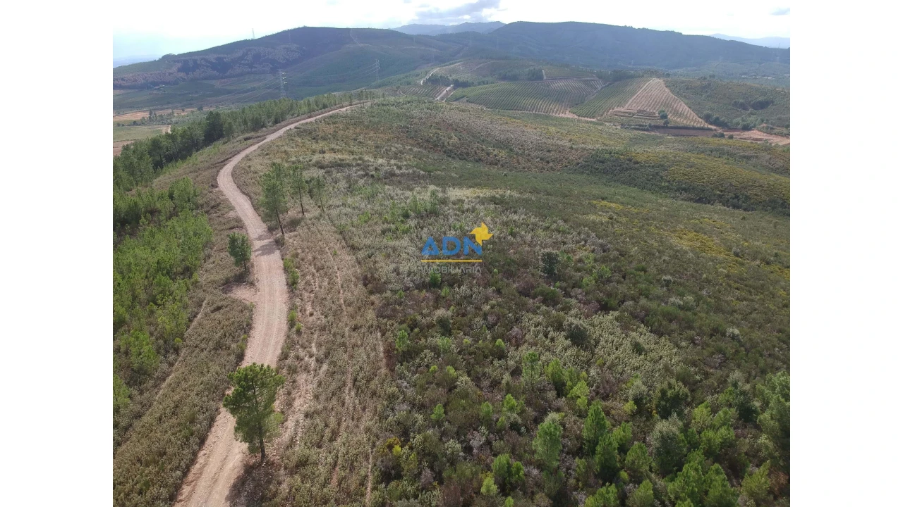 Terreno para Venda em Fatela Foto 4