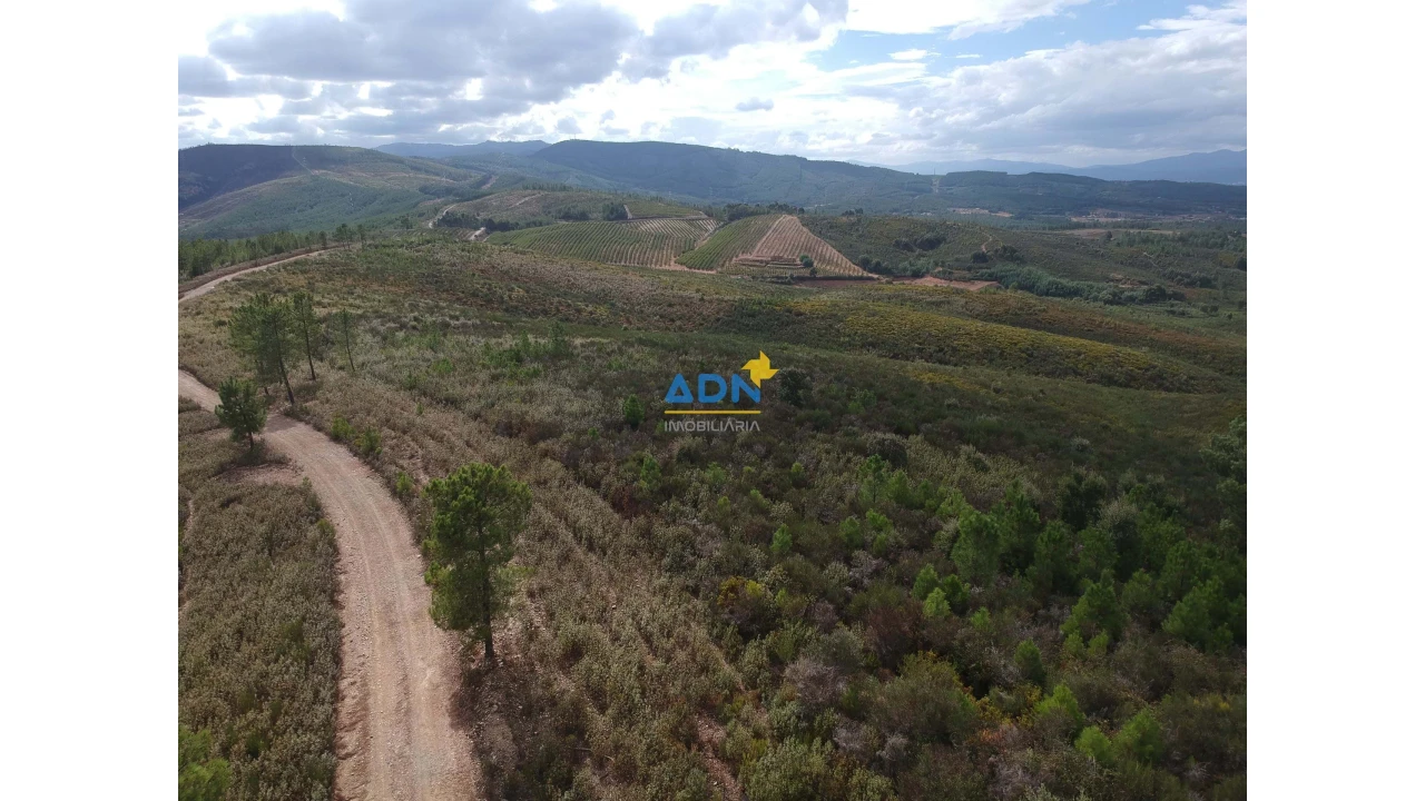 Terreno para Venda em Fatela Foto 1