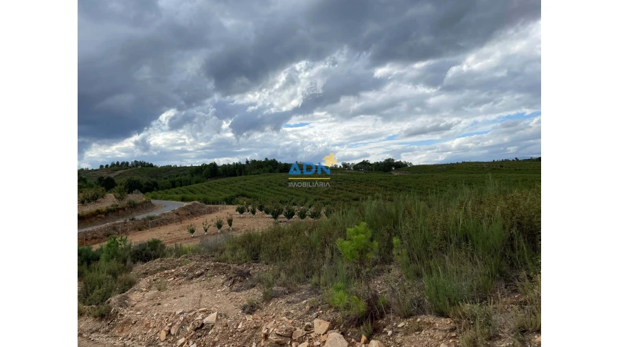 Terreno para Venda em Fatela Foto 5