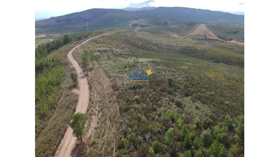 Terreno para Venda em Fatela Foto 4