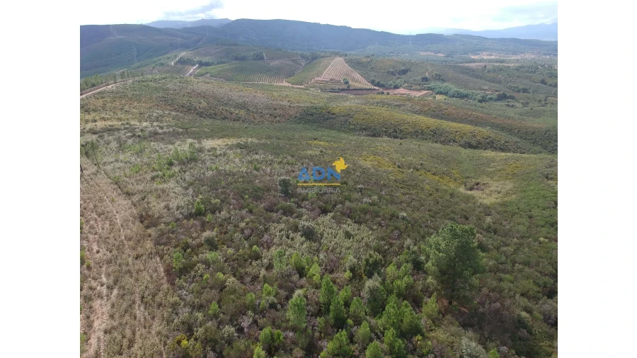 Terreno para Venda em Fatela Foto 3