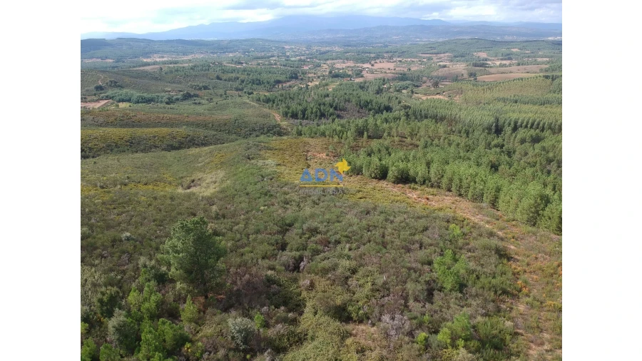 Terreno para Venda em Fatela Foto 2