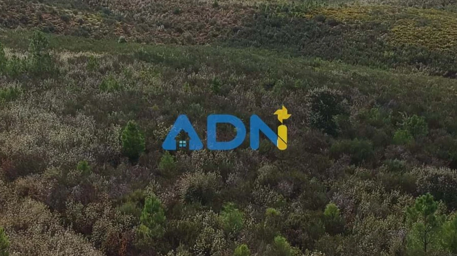 Terreno para Venda em Fatela