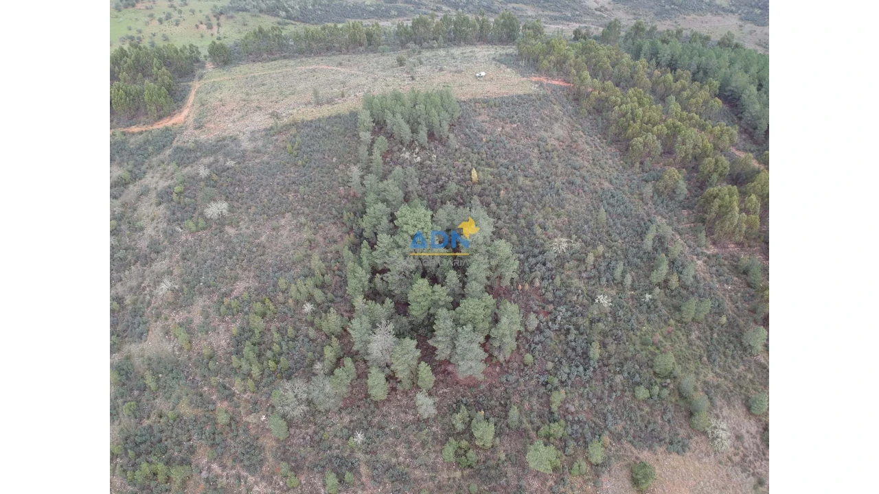 Terreno para Venda em Monfortinho e Salvaterra do Extremo Foto 4