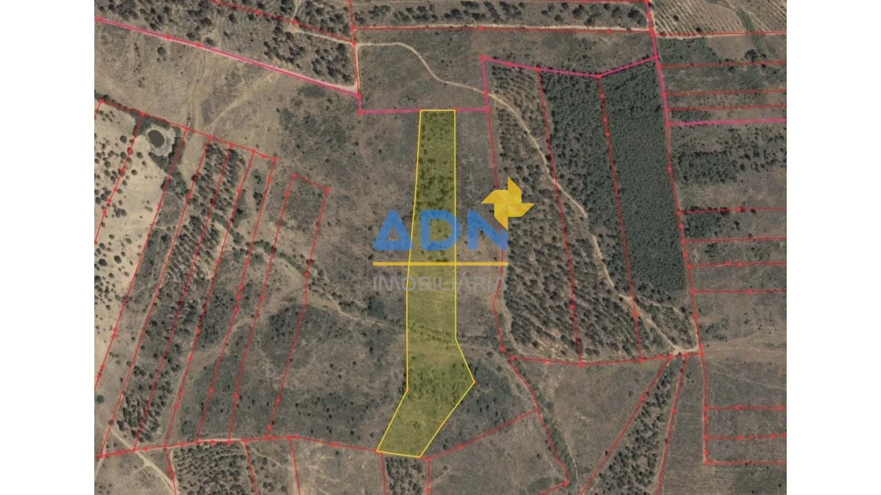 Terreno para Venda em Monfortinho e Salvaterra do Extremo Foto 7