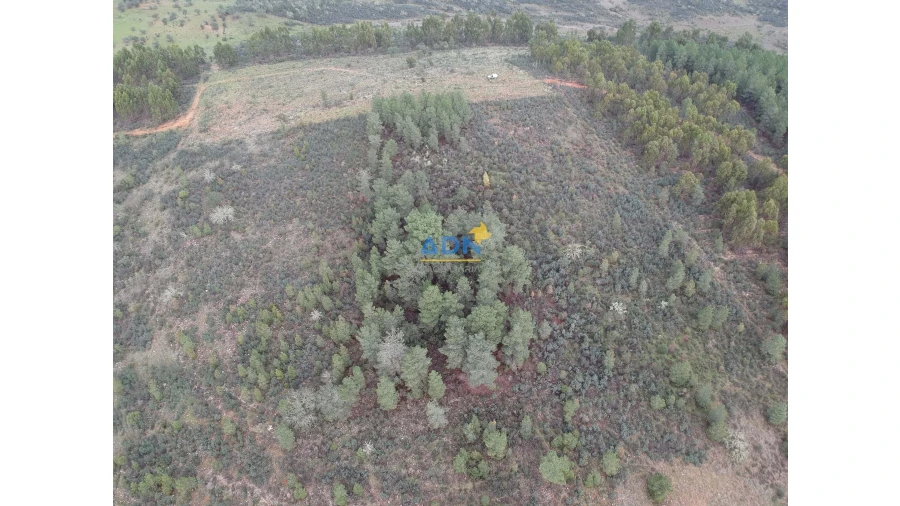 Terreno para Venda em Monfortinho e Salvaterra do Extremo Foto 4