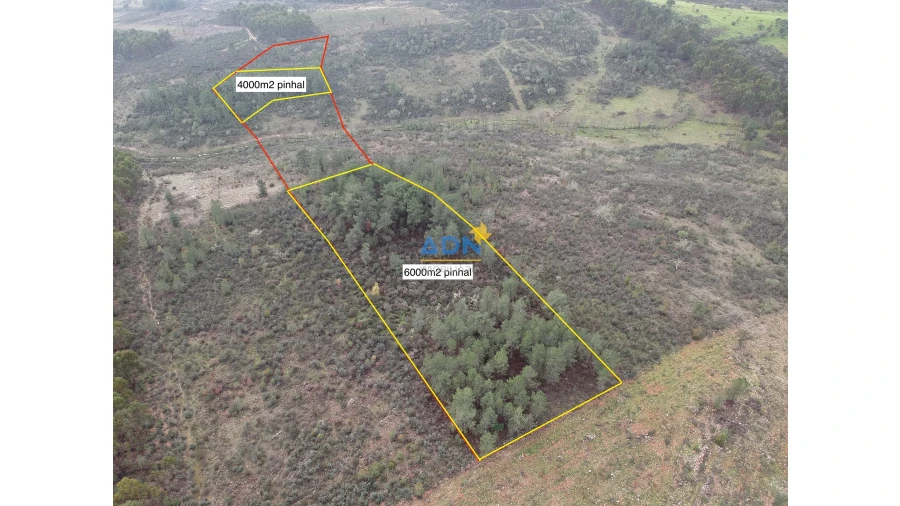 Terreno para Venda em Monfortinho e Salvaterra do Extremo Foto 3