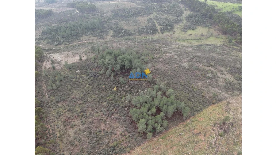 Terreno para Venda em Monfortinho e Salvaterra do Extremo Foto 1