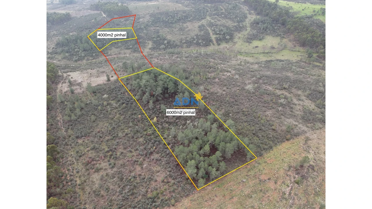 Terreno para Venda em Monfortinho e Salvaterra do Extremo Foto 3