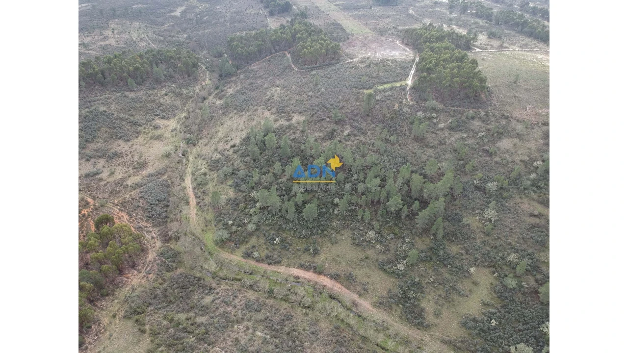 Terreno para Venda em Monfortinho e Salvaterra do Extremo Foto 5