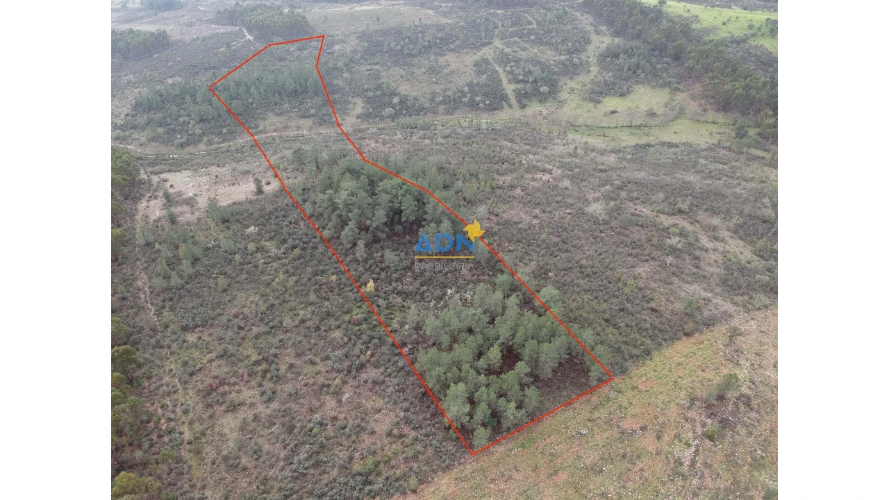 Terreno para Venda em Monfortinho e Salvaterra do Extremo Foto 2