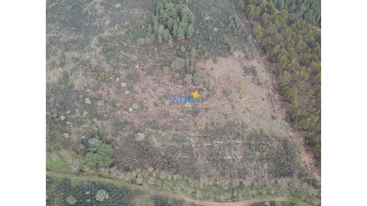 Terreno para Venda em Monfortinho e Salvaterra do Extremo Foto 6