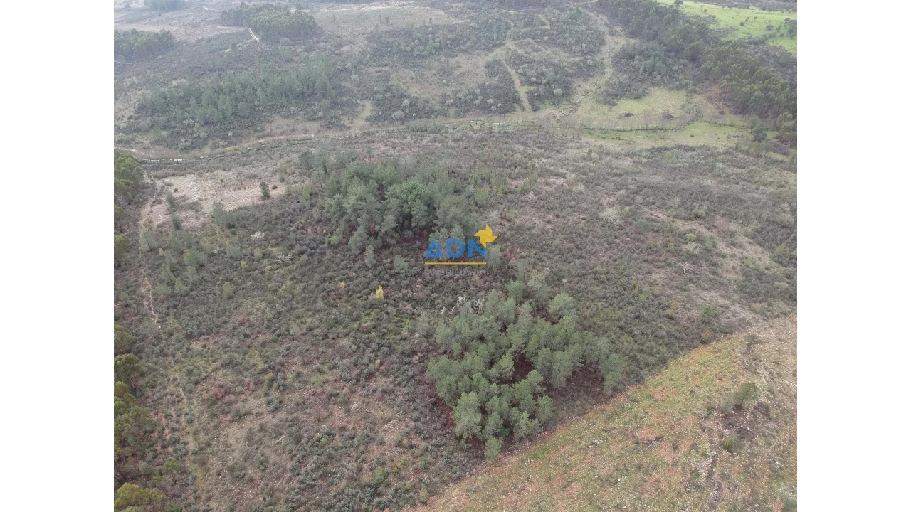 Terreno para Venda em Monfortinho e Salvaterra do Extremo Foto 1