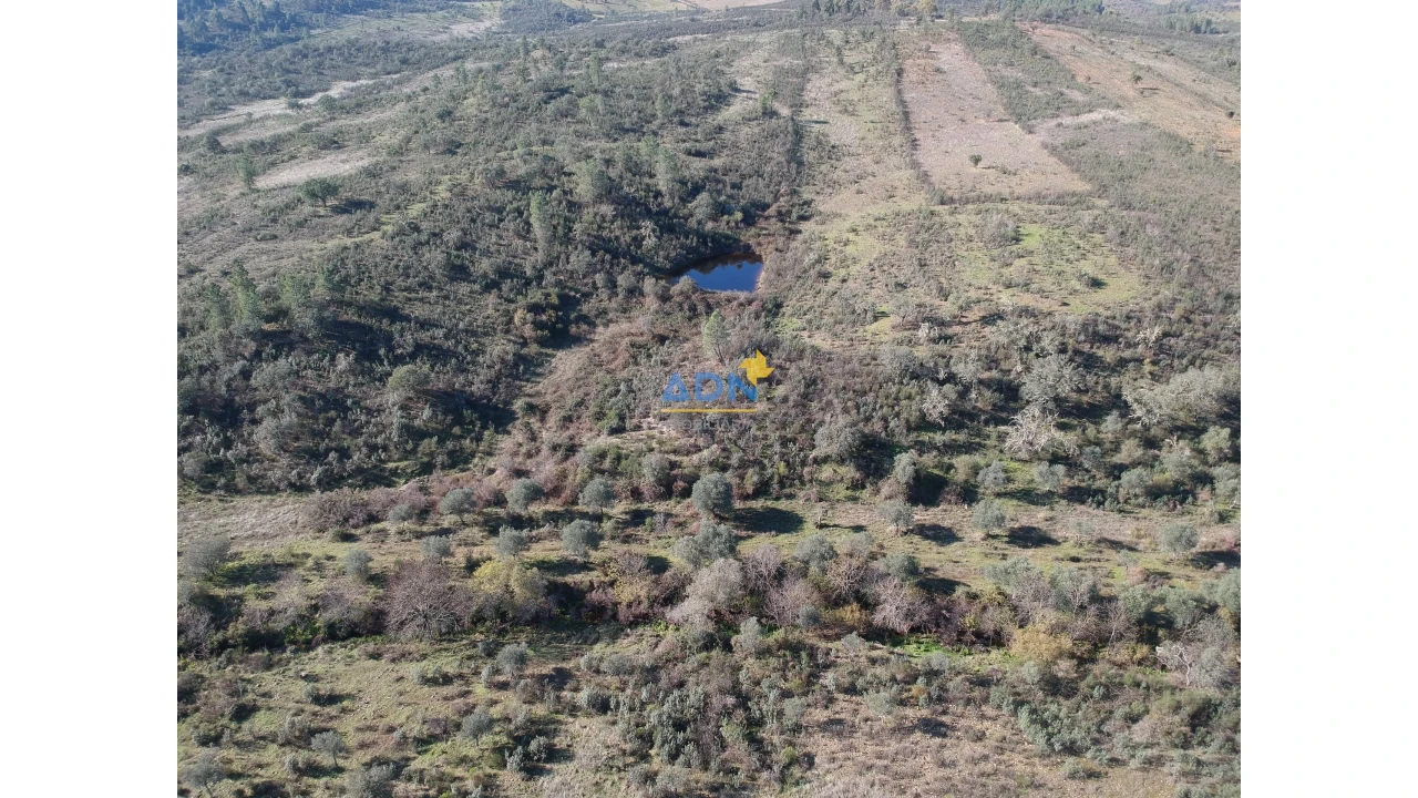 Terreno para Venda em Monfortinho e Salvaterra do Extremo Foto 11