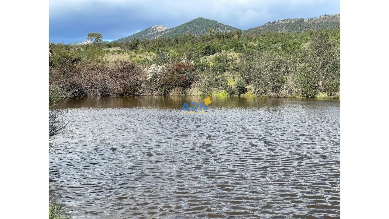 Terreno para Venda em Monfortinho e Salvaterra do Extremo Foto 1