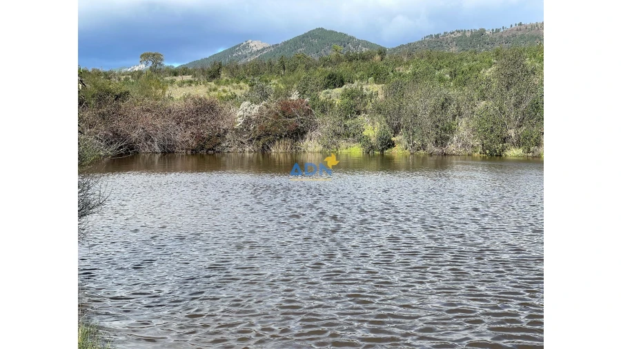 Terreno para Venda em Monfortinho e Salvaterra do Extremo Foto 1