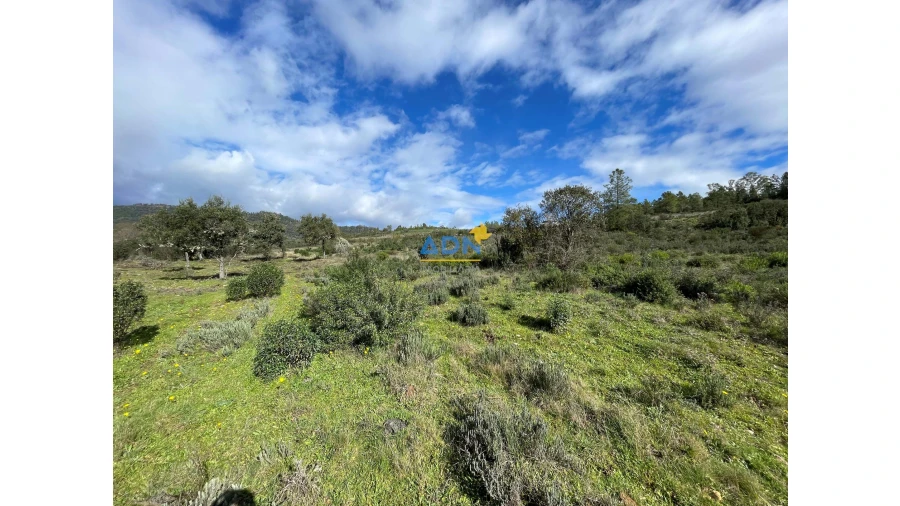 Terreno para Venda em Monfortinho e Salvaterra do Extremo Foto 3