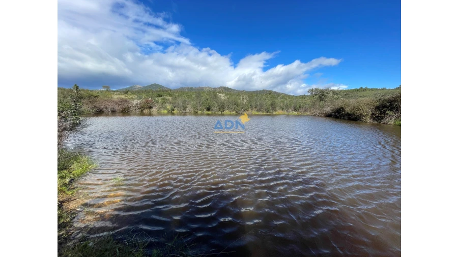 Terreno para Venda em Monfortinho e Salvaterra do Extremo Foto 6