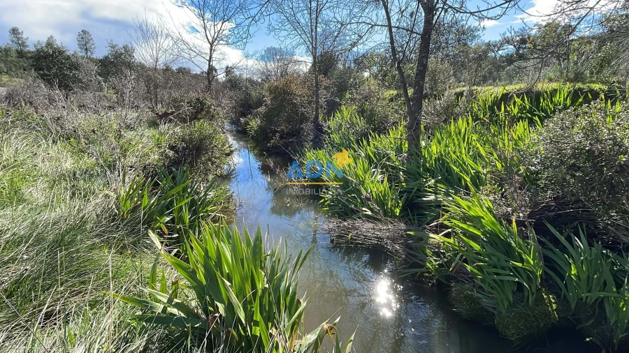 Terreno para Venda em Monfortinho e Salvaterra do Extremo Foto 2