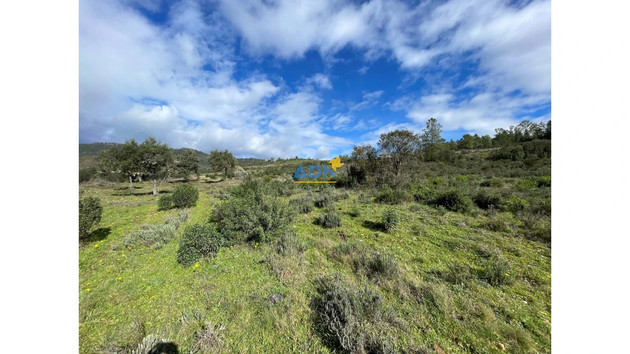 Terreno para Venda em Monfortinho e Salvaterra do Extremo Foto 3