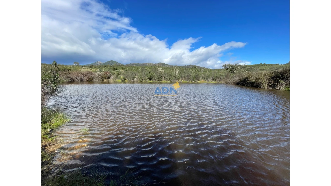 Terreno para Venda em Monfortinho e Salvaterra do Extremo Foto 6