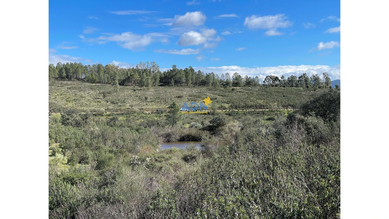 Terreno para Venda em Monfortinho e Salvaterra do Extremo Foto 8