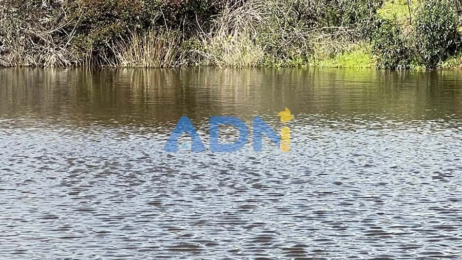 Terreno para Venda em Monfortinho e Salvaterra do Extremo