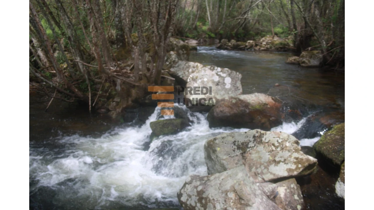 Moradia T1 para Venda em Tinhela e Alvarelhos Foto 13
