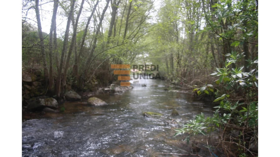 Moradia T1 para Venda em Tinhela e Alvarelhos Foto 5