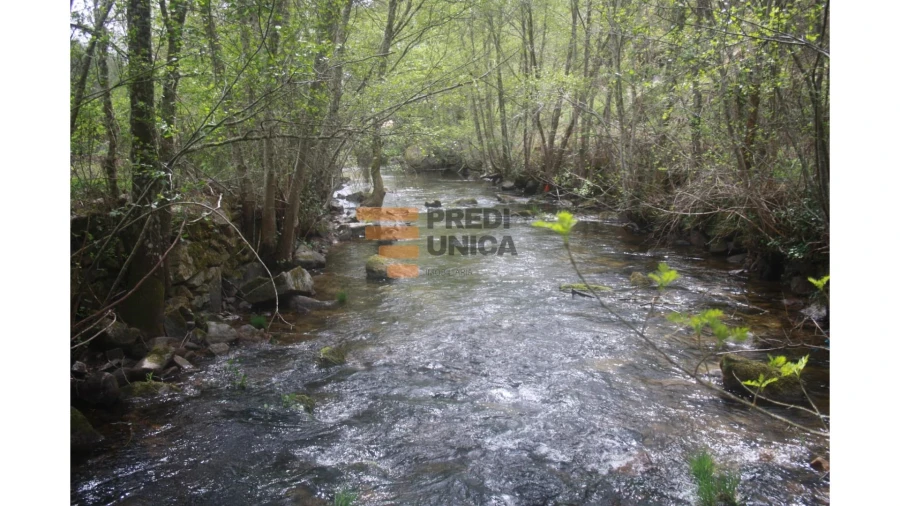 Moradia T1 para Venda em Tinhela e Alvarelhos Foto 3