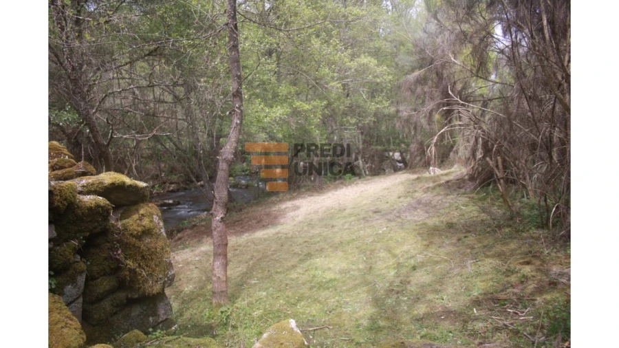 Moradia T1 para Venda em Tinhela e Alvarelhos Foto 11