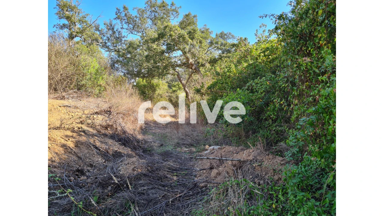Terreno para Venda em São Francisco da Serra Foto 15