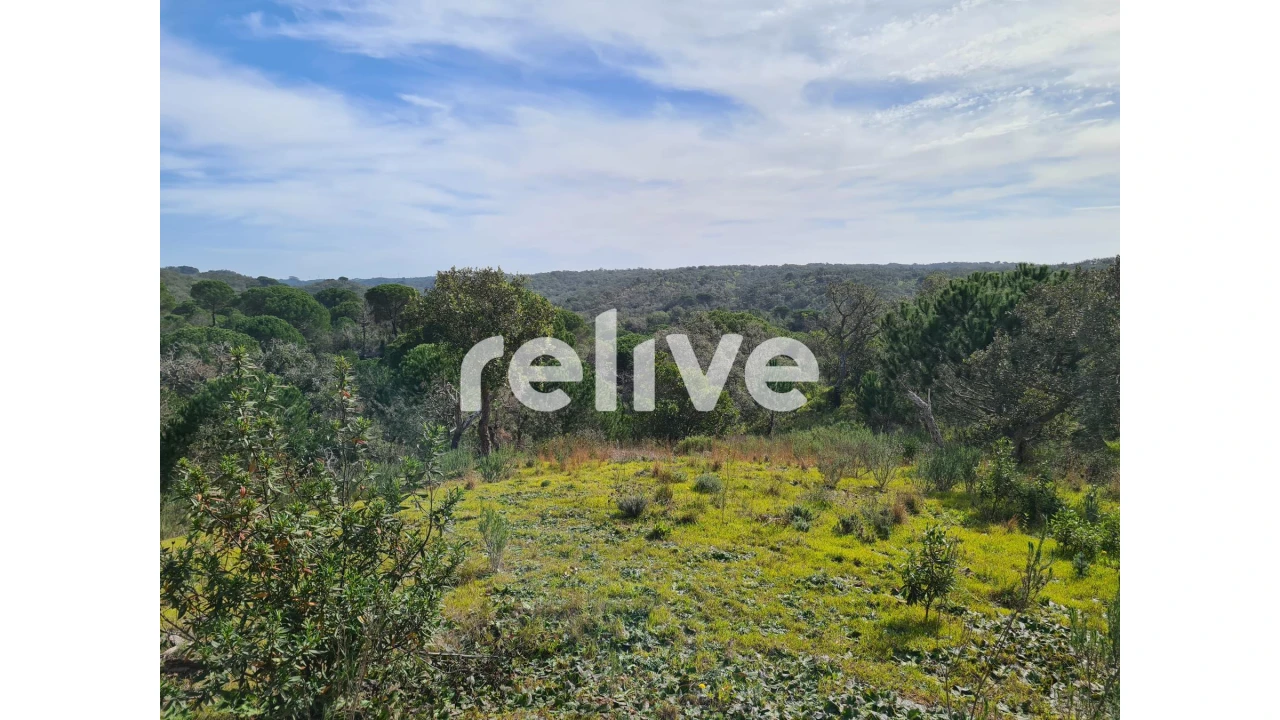 Terreno para Venda em São Francisco da Serra Foto 23