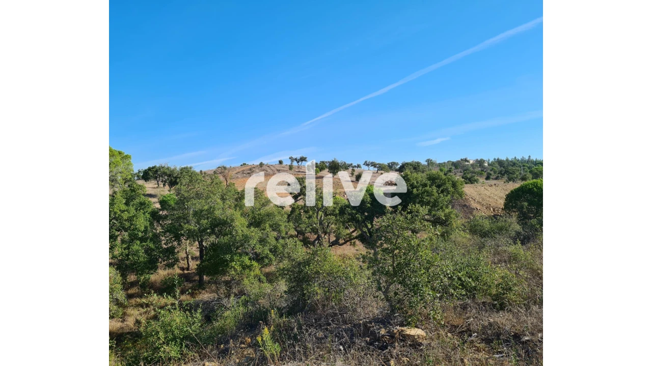 Terreno para Venda em São Francisco da Serra Foto 13