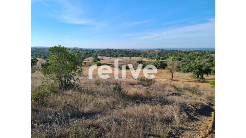 Terreno para Venda em São Francisco da Serra