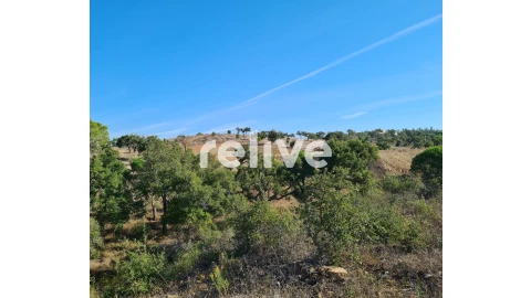 Terreno para Venda em São Francisco da Serra