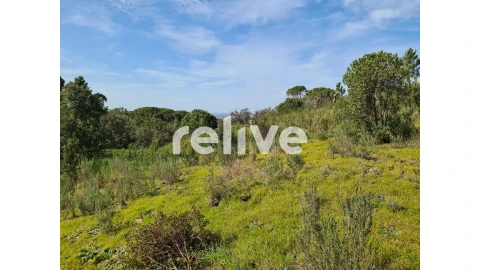 Terreno para Venda em São Francisco da Serra