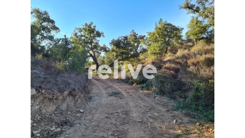 Terreno para Venda em São Francisco da Serra