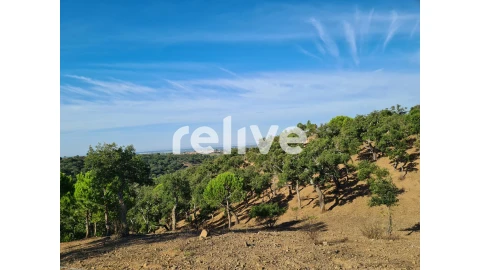 Terreno para Venda em São Francisco da Serra