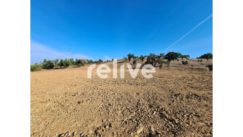 Terreno para Venda em São Francisco da Serra