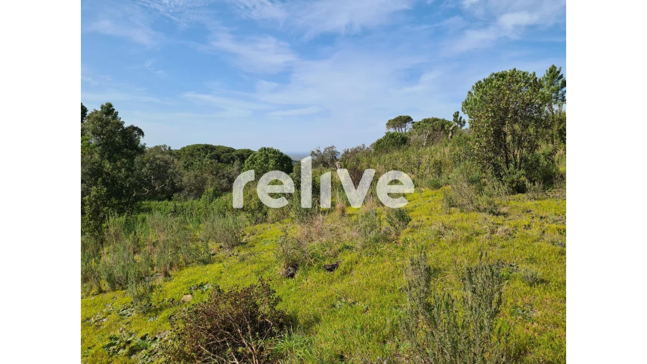 Terreno para Venda em São Francisco da Serra Foto 24