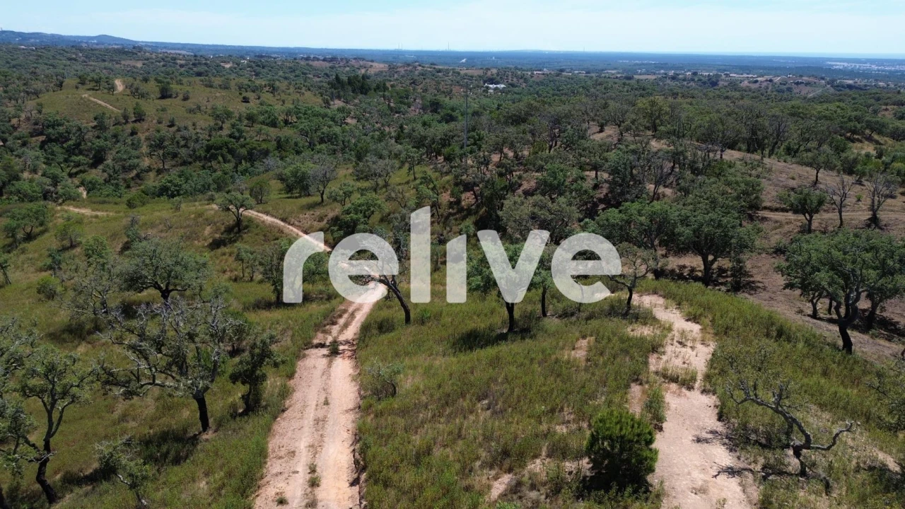 Terreno para Venda em São Francisco da Serra Foto 21
