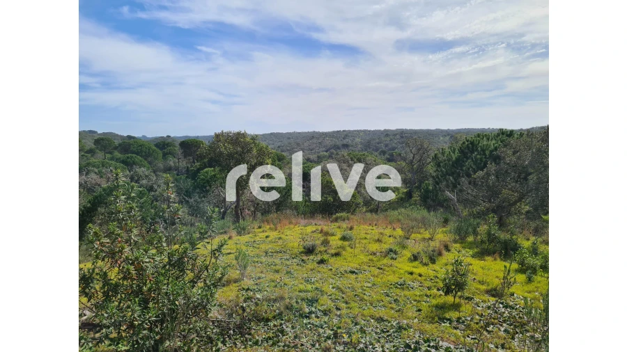 Terreno para Venda em São Francisco da Serra Foto 23