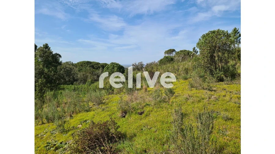 Terreno para Venda em São Francisco da Serra Foto 24
