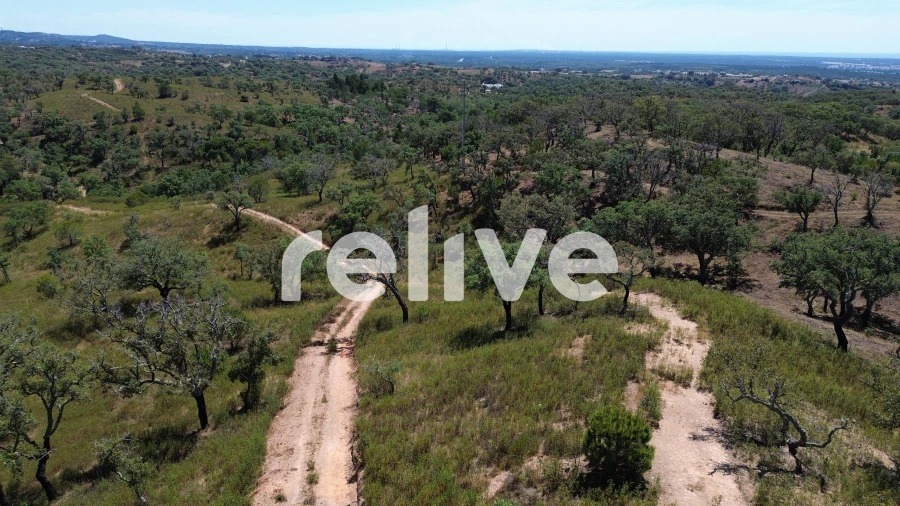 Terreno para Venda em São Francisco da Serra Foto 21