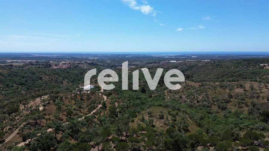 Terreno para Venda em São Francisco da Serra Foto 7