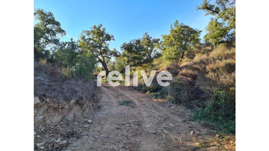 Terreno para Venda em São Francisco da Serra Foto 16