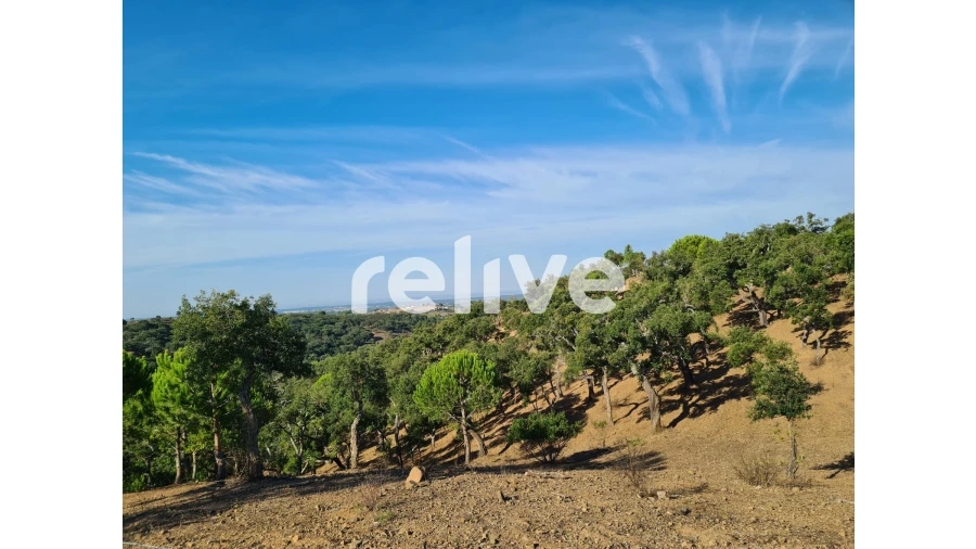 Terreno para Venda em São Francisco da Serra Foto 14