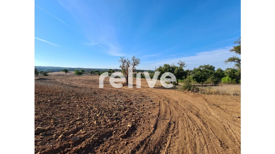 Terreno para Venda em São Francisco da Serra Foto 11