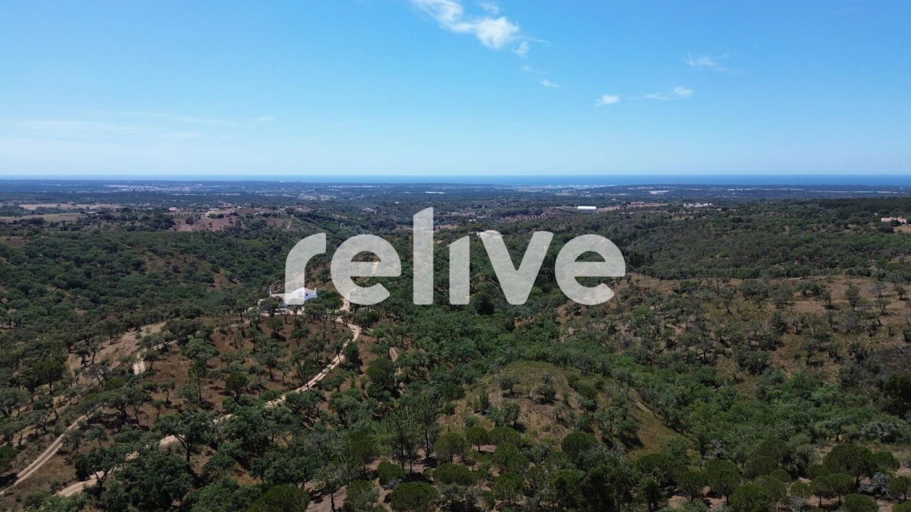 Terreno para Venda em São Francisco da Serra Foto 7